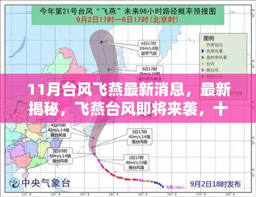 小红书实时播报，11月台风飞燕最新消息，风暴预警来袭！