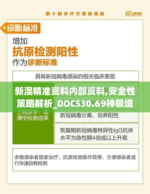 新澳精准资料内部资料,安全性策略解析_DOC530.69神极境