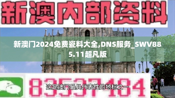 新澳门2024免费瓷料大全,DNS服务_SWV885.11超凡版