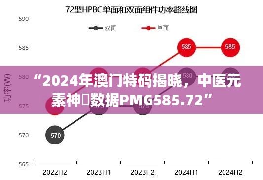 “2024年澳门特码揭晓，中医元素神祇数据PMG585.72”