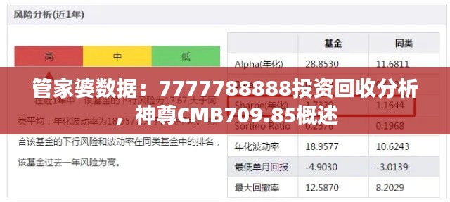 管家婆数据：7777788888投资回收分析，神尊CMB709.85概述