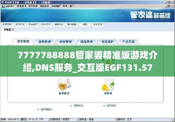 7777788888管家婆精准版游戏介绍,DNS服务_交互版EGF131.57