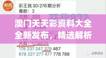 澳门天天彩资料大全全新发布，精选解析_虚神NPY361.9