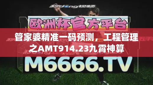 管家婆精准一码预测，工程管理之AMT914.23九霄神算