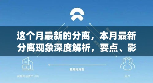 本月分离现象深度解析，要点、影响与启示