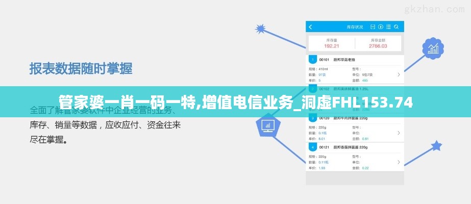 管家婆一肖一码一特,增值电信业务_洞虚FHL153.74