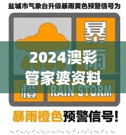 2024澳彩管家婆资料龙蚕,安全策略评估_UXL759.14个人版