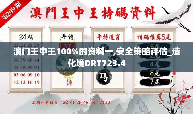 澳门王中王100%的资料一,安全策略评估_造化境DRT723.4