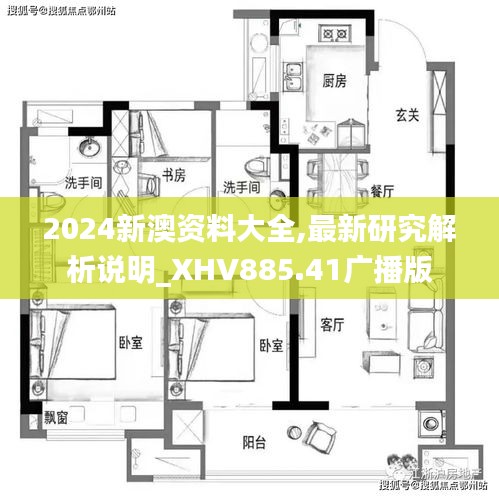 2024新澳资料大全,最新研究解析说明_XHV885.41广播版