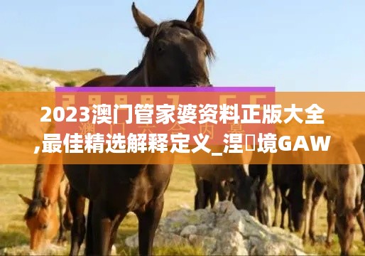 2023澳门管家婆资料正版大全,最佳精选解释定义_涅槃境GAW781.36