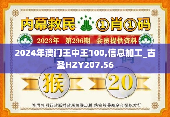 2024年澳门王中王100,信息加工_古圣HZY207.56