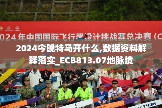 2024今晚特马开什么,数据资料解释落实_ECB813.07地脉境