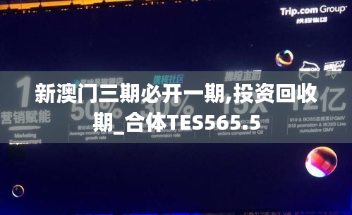 新澳门三期必开一期,投资回收期_合体TES565.5