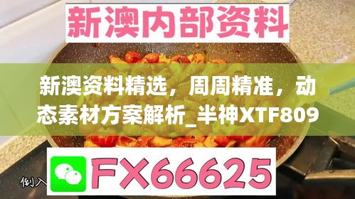 admin 第388页