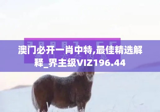 澳门必开一肖中特,最佳精选解释_界主级VIZ196.44