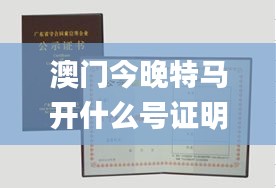 澳门今晚特马开什么号证明,图库热门解答_YTD187.91alpha内测版