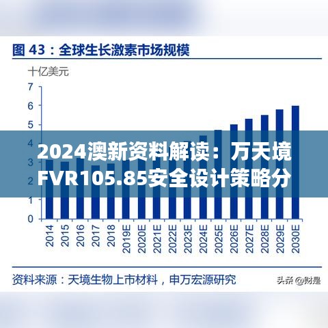 2024澳新资料解读：万天境FVR105.85安全设计策略分析