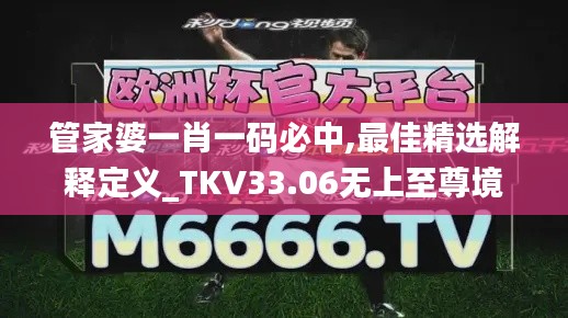 管家婆一肖一码必中,最佳精选解释定义_TKV33.06无上至尊境