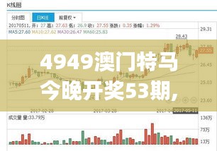 4949澳门特马今晚开奖53期,全面解答解析_YCZ910.89收藏版