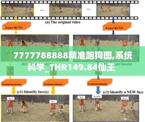 7777788888精准跑狗图,系统科学_THR149.84仙王 