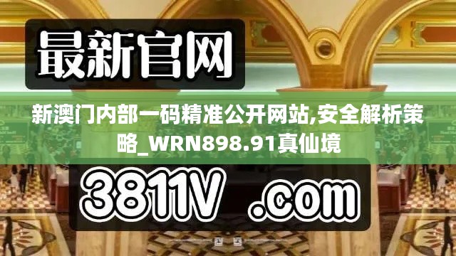 新澳门内部一码精准公开网站,安全解析策略_WRN898.91真仙境