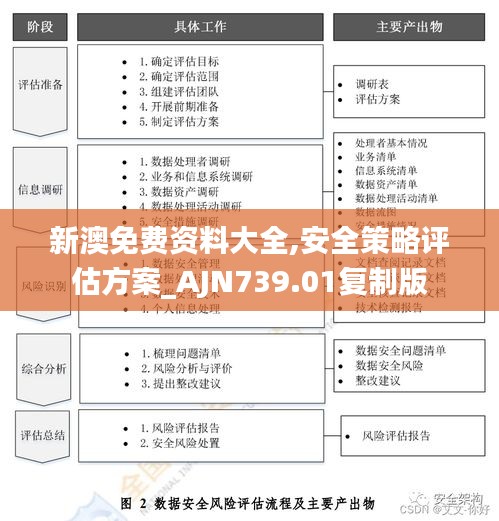 新澳免费资料大全,安全策略评估方案_AJN739.01复制版