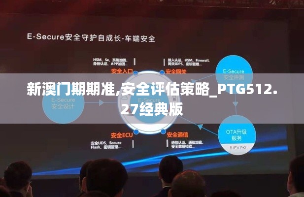 新澳门期期准,安全评估策略_PTG512.27经典版