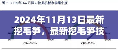 探索最新挖毛笋技巧，揭秘毛笋奥秘，掌握最新挖笋技巧分享（2024年11月13日）