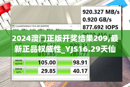 2024澳门正版开奖结果209,最新正品权威性_YJS16.29天仙