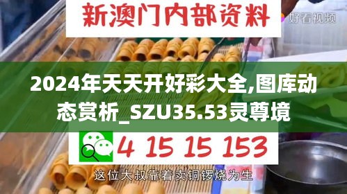 2024年天天开好彩大全,图库动态赏析_SZU35.53灵尊境