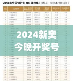 2024新奥今晚开奖号码,安全评估策略_道宫JYA299.14