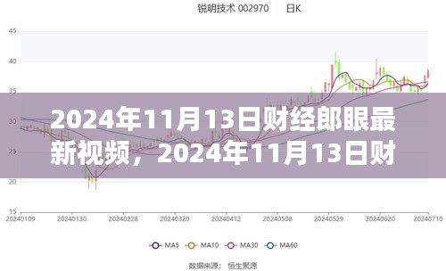 财经郎眼最新视频解析，洞悉经济趋势，引领未来投资风向（2024年11月13日）