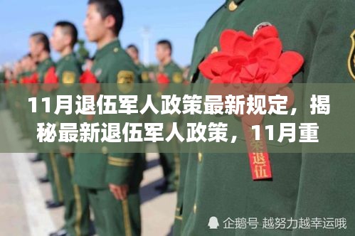 揭秘11月退伍军人政策最新规定，您的权益与重磅更新一览