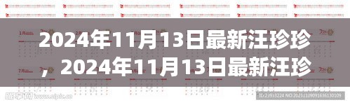 汪珍珍的成长与蜕变之路，最新聚焦报道（2024年11月13日）