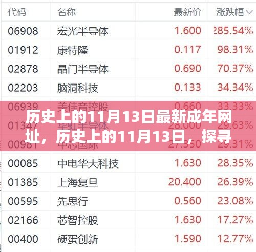 探寻历史上的11月13日成年网址背后的故事与影响