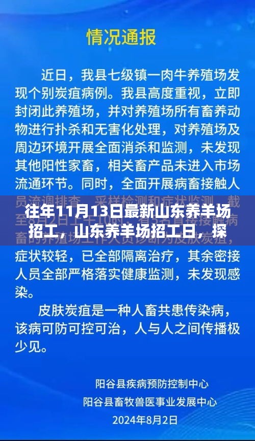 山东养羊场招工日，机遇与挑战的探讨及招工热潮背后的故事