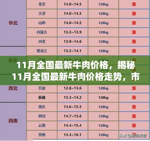 揭秘11月全国最新牛肉价格走势，市场分析、预测与行情解读