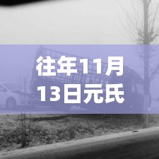 往年11月13日元氏车祸事件回顾，最新消息与进展