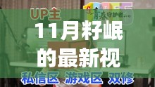 重磅揭秘，11月籽岷最新视频合集，科技巨献重塑智能生活体验