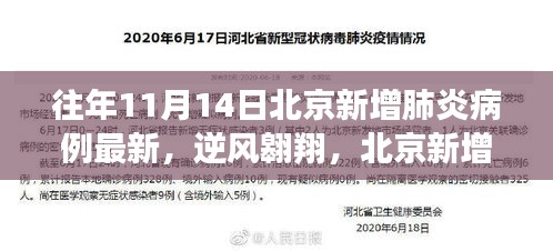 逆风翱翔，北京新增肺炎病例背后的学习力量与成长智慧——最新报告揭示历年数据动态分析