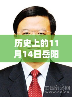 岳阳市委常委名单揭秘，历史与最新名单查询指南（11月14日版）