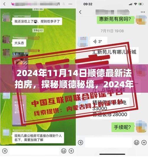 探秘顺德秘境，最新法拍房深度探索与小巷独特风情（2024年11月14日）