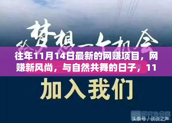 网赚新风尚启程日，与自然共舞的日子，揭秘最新网赚项目！