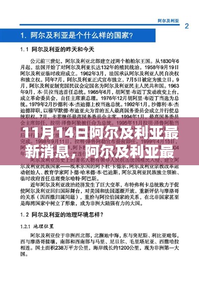 阿尔及利亚最新消息获取指南，轻松获取并理解相关资讯（适用于初学者与进阶用户）