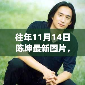 聚焦陈坤，明星风采尽在往年11月14日最新图片展现风采