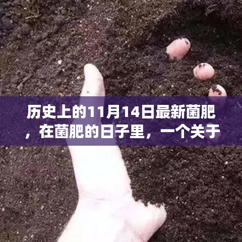 菌肥的日子，友情探索与温馨日常的温馨故事