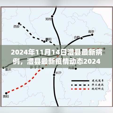 澧县最新疫情动态，2024年11月14日病例更新及关注提醒