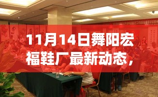 舞阳宏福鞋厂，11月14日的温暖日常与情感纽带