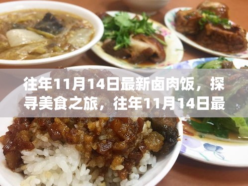 往年11月14日最新卤肉饭，美食演变与魅力探寻之旅