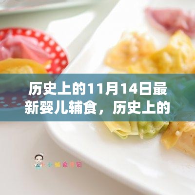 历史上的11月14日婴儿辅食评测与介绍，最新产品全面解析